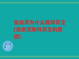 张启灵为什么跪拜灵芝(张启灵跪拜灵芝的原因)