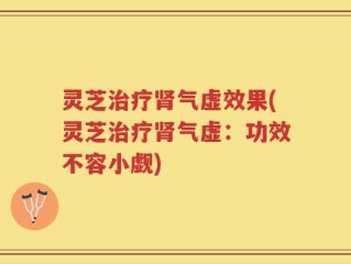 灵芝治疗肾气虚效果(灵芝治疗肾气虚：功效不容小觑)