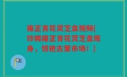雍正青花灵芝盘视频(珍稀雍正青花灵芝盘现身，惊艳古董市场！)