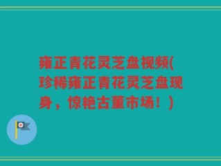 雍正青花灵芝盘视频(珍稀雍正青花灵芝盘现身，惊艳古董市场！)