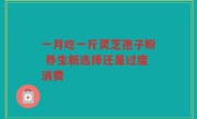 一月吃一斤灵芝孢子粉 养生新选择还是过度消费