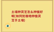 土壤种灵芝怎么种植好呢(如何优雅地种植灵芝于土壤)