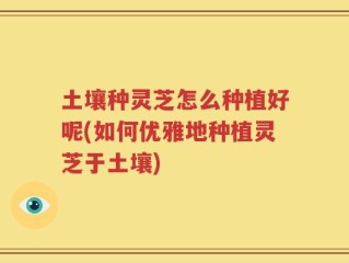 土壤种灵芝怎么种植好呢(如何优雅地种植灵芝于土壤)