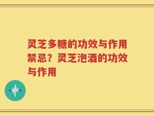 灵芝多糖的功效与作用禁忌？灵芝泡酒的功效与作用