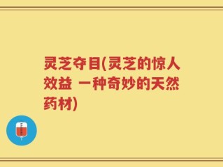 灵芝夺目(灵芝的惊人效益 一种奇妙的天然药材)