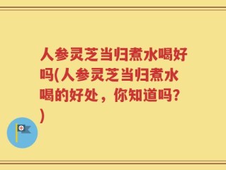 人参灵芝当归煮水喝好吗(人参灵芝当归煮水喝的好处，你知道吗？)