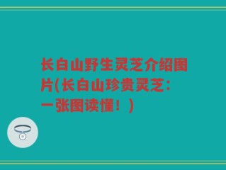 长白山野生灵芝介绍图片(长白山珍贵灵芝：一张图读懂！)