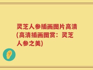 灵芝人参插画图片高清(高清插画图赏：灵芝人参之美)