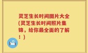 灵芝生长时间图片大全(灵芝生长时间照片集锦，给你最全面的了解！)