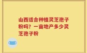 山西适合种植灵芝孢子粉吗？一亩地产多少灵芝孢子粉