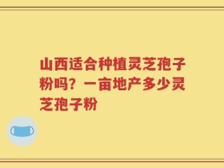 山西适合种植灵芝孢子粉吗？一亩地产多少灵芝孢子粉