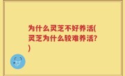 为什么灵芝不好养活(灵芝为什么较难养活？)