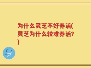 为什么灵芝不好养活(灵芝为什么较难养活？)