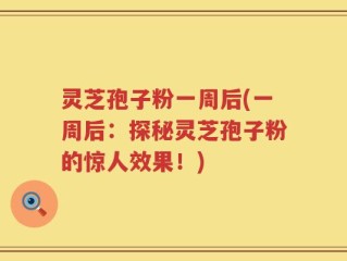灵芝孢子粉一周后(一周后：探秘灵芝孢子粉的惊人效果！)