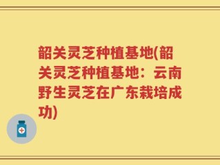 韶关灵芝种植基地(韶关灵芝种植基地：云南野生灵芝在广东栽培成功)