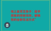 地上皇灵芝孢子：超乎想象的惊艳功效，解锁你的全新生活方式”