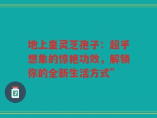 地上皇灵芝孢子：超乎想象的惊艳功效，解锁你的全新生活方式”
