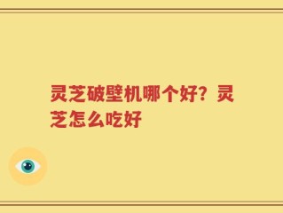 灵芝破壁机哪个好？灵芝怎么吃好