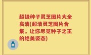 超级种子灵芝图片大全高清(超清灵芝图片合集，让你尽览种子之王的绝美姿态)