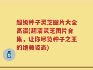 超级种子灵芝图片大全高清(超清灵芝图片合集，让你尽览种子之王的绝美姿态)