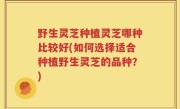 野生灵芝种植灵芝哪种比较好(如何选择适合种植野生灵芝的品种？)