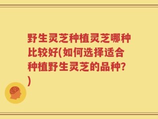 野生灵芝种植灵芝哪种比较好(如何选择适合种植野生灵芝的品种？)