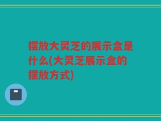 摆放大灵芝的展示盒是什么(大灵芝展示盒的摆放方式)