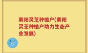 襄阳灵芝种植户(襄阳灵芝种植户助力生态产业发展)