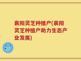 襄阳灵芝种植户(襄阳灵芝种植户助力生态产业发展)