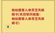 蛤蚧鹿茸人参灵芝天麻蝎子(天然草药销售：蛤蚧鹿茸人参灵芝天麻蝎子)