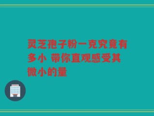 灵芝孢子粉一克究竟有多小 带你直观感受其微小的量
