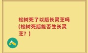 松树死了以后长灵芝吗(松树死后能否生长灵芝？)