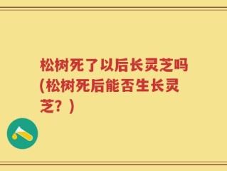 松树死了以后长灵芝吗(松树死后能否生长灵芝？)