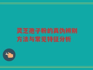 灵芝孢子粉的真伪辨别方法与常见特征分析