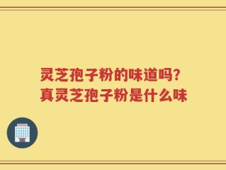 灵芝孢子粉的味道吗？真灵芝孢子粉是什么味