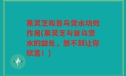 黑灵芝和首乌煲水功效作用(黑灵芝与首乌煲水的益处，想不到让你欣喜！)