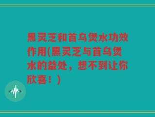 黑灵芝和首乌煲水功效作用(黑灵芝与首乌煲水的益处，想不到让你欣喜！)