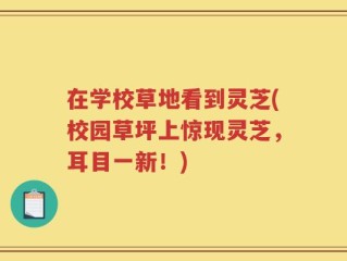 在学校草地看到灵芝(校园草坪上惊现灵芝，耳目一新！)
