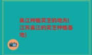 吴江种植灵芝的地方(江苏吴江的灵芝种植基地)