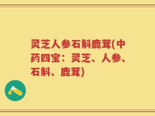 灵芝人参石斛鹿茸(中药四宝：灵芝、人参、石斛、鹿茸)