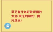 灵芝有什么好处呀图片大全(灵芝的益处：图片盘点)