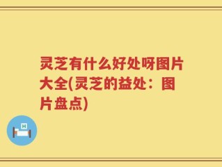 灵芝有什么好处呀图片大全(灵芝的益处：图片盘点)