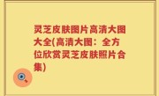 灵芝皮肤图片高清大图大全(高清大图：全方位欣赏灵芝皮肤照片合集)