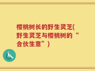 樱桃树长的野生灵芝(野生灵芝与樱桃树的“合伙生意”)