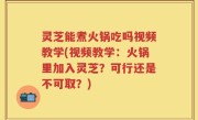 灵芝能煮火锅吃吗视频教学(视频教学：火锅里加入灵芝？可行还是不可取？)