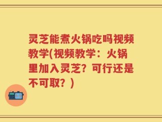 灵芝能煮火锅吃吗视频教学(视频教学：火锅里加入灵芝？可行还是不可取？)
