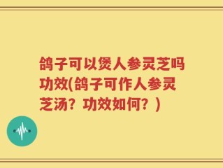 鸽子可以煲人参灵芝吗功效(鸽子可作人参灵芝汤？功效如何？)