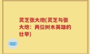 灵芝张大炮(灵芝与张大炮：两位树木英雄的壮举)