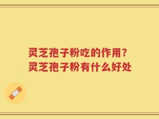 灵芝孢子粉吃的作用？灵芝孢子粉有什么好处