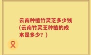 云南种植竹灵芝多少钱(云南竹灵芝种植的成本是多少？)